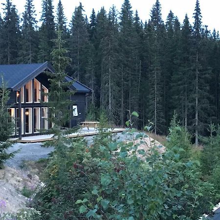 Lillebjorn Vila Trysil Exterior foto