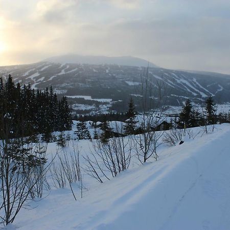 Lillebjorn Vila Trysil Exterior foto