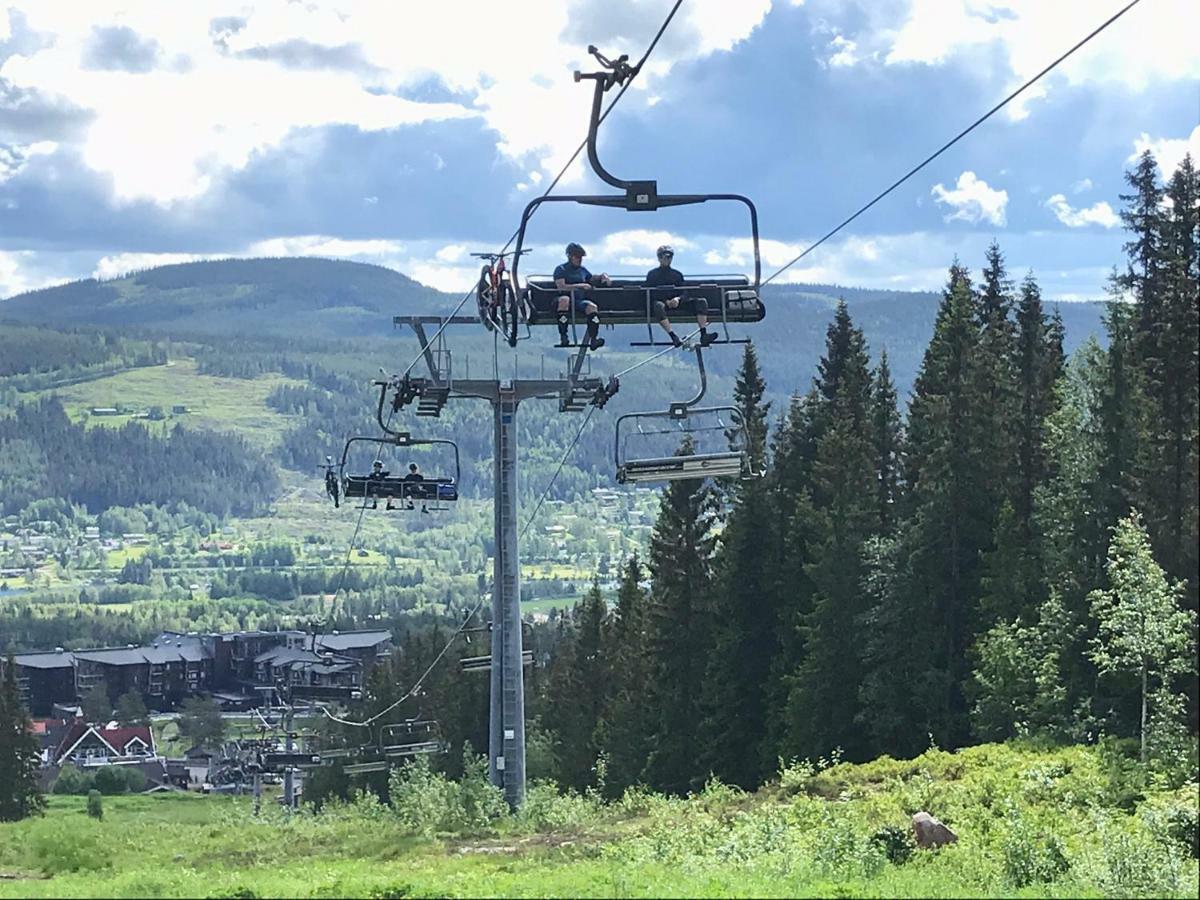 Lillebjorn Vila Trysil Exterior foto